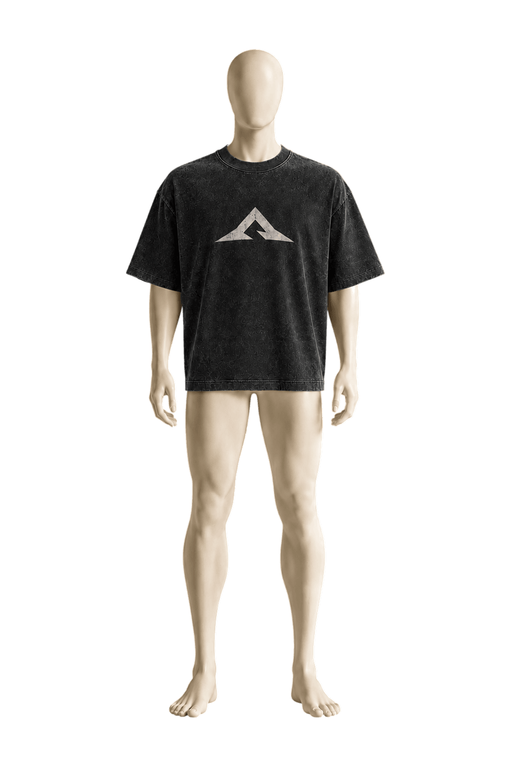 Wearing Summit Tee in Gray — front